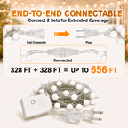 COOKEY 100 LED Globe String Lights Indoor, 33 ft, Warm White, Plug-In with Remote