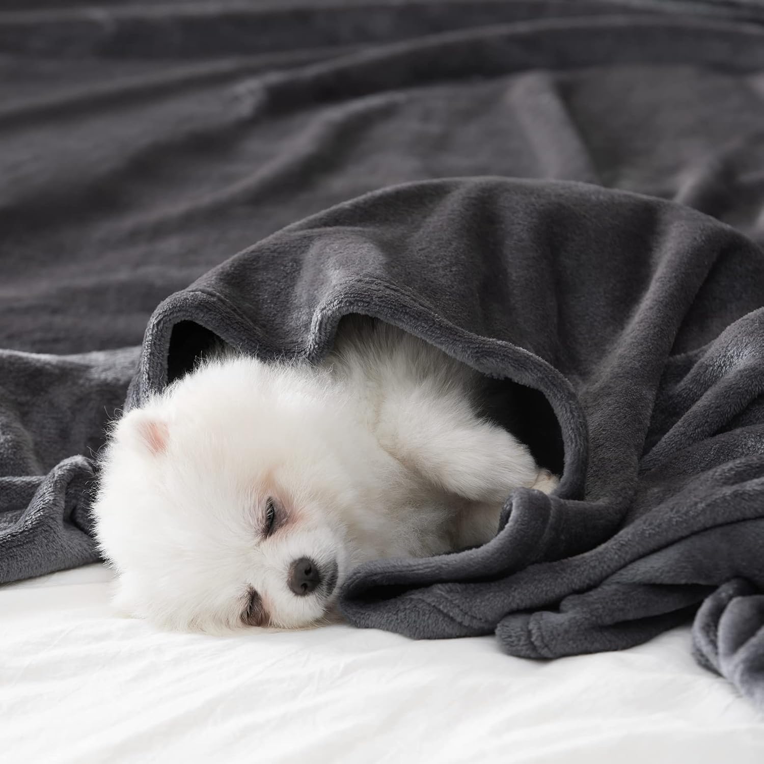 COKEEY Bedding Fleece Blanket Throw Size  300GSM Luxury Fuzzy Soft Anti-Static Microfiber Bed Blanket