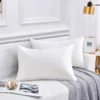 COOKEY 12x20 Pillow Insert Throw Pillows for Couch Set of 2, Rectangular Decorative Pillows 2 Pack for Sofa,White